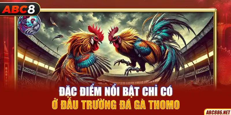 Đặc điểm nổi bật chỉ có ở đấu trường đá gà Thomo