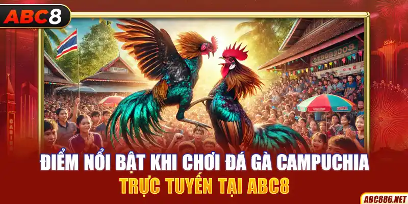 Điểm nổi bật khi chơi đá gà Campuchia trực tuyến tại ABC8