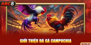 Giới thiệu đá gà Campuchia