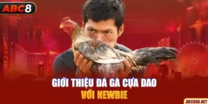 Giới thiệu đá gà cựa dao với newbie