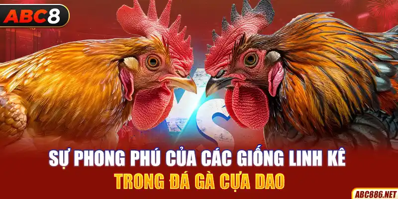 Sự phong phú của các giống linh kê trong đá gà cựa dao